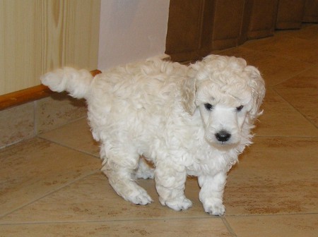 ... zaběhal jsem si...